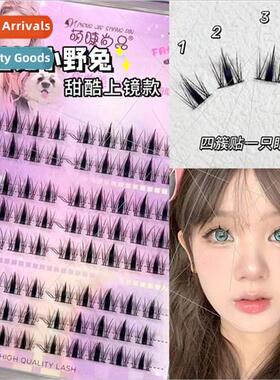 Lazy Barbie Hare False Eyelash ngle Cluster Segmented Natura