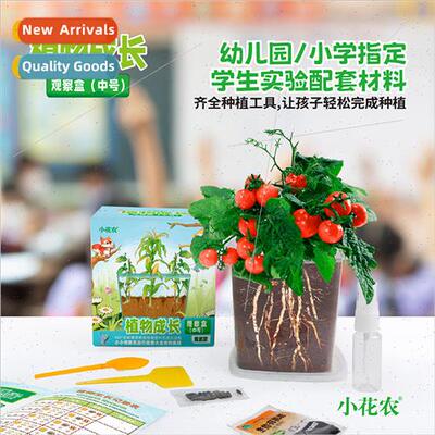 Plant growth observation box children students planting cup