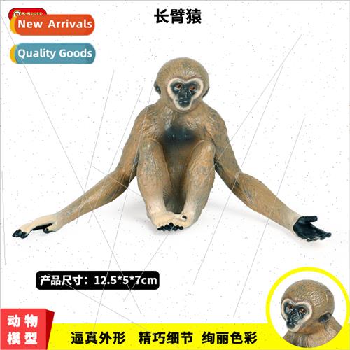 wildlife model static toys gibbon orangutan monkey plastic o
