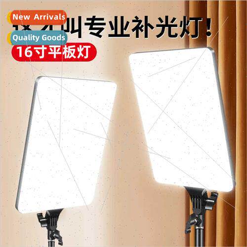 Mobile phone photo large screen playing light LED beauty pho