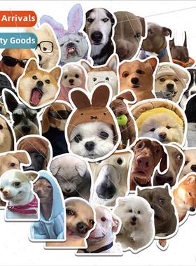 50 Hot Realistic Dog Stickers Funny Dog Emoji Stickers Not R