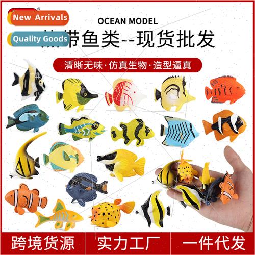 mini marine fish animal model tropical fish clown fish fairy