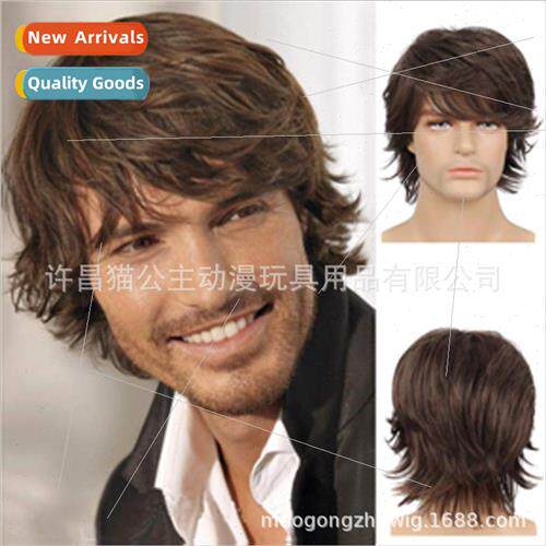 Europe handsome men wigs men brown short hair short reverse