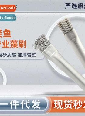 Envy Algae Brush Wire Brush Algae Cleaning Brush Aquascape B