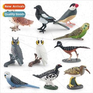 monkey faced eagle bird colorful model thunderbird animal