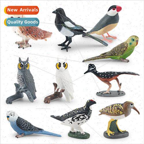 bird animal model monkey-faced eagle thunderbird colorful sa
