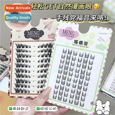 New 10 rows large capacy fox system false eyelashes Europe s