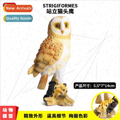 mulation animal birds birds prey eagle owl solid static wild