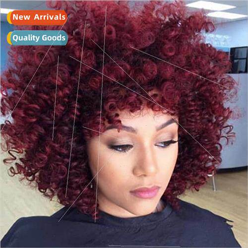 Wigs African Wigs Exploding Head Wigs Women Small Curly Hair