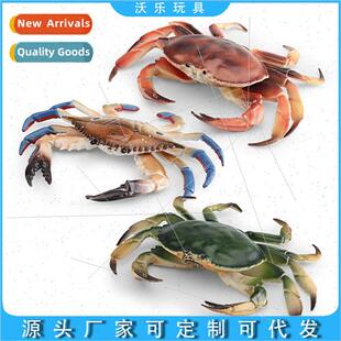 Decorative ornaments marine animals crab model children cogn