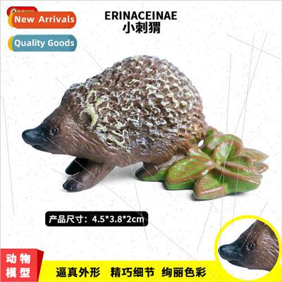 Wildlife model jungle spiny regiment hedgehog hedgehog rat c