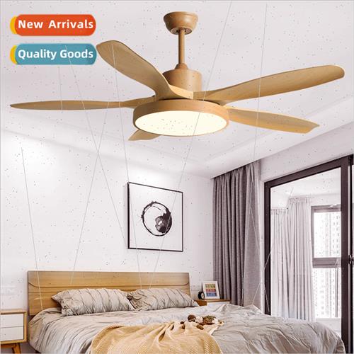 Scandinavian simple large wind power ceiling fan light livin