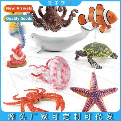 Seahorse octopus jellyfish king crab beluga whale sea turtle