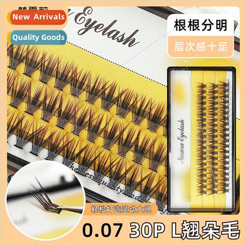 Scarecrow 30pcs 0.07 extensions 20D self extensions L Duo ha