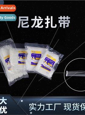 Nylon Cable Ties -Locking Hangtag Ties Plastic Ties 3x1004x2