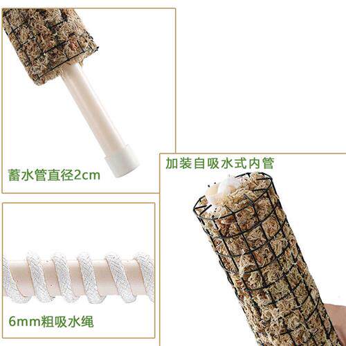水苔柱棒攀爬白锦花叶龟背竹支架植物立杆蔓绿绒爬藤定型专用棕柱
