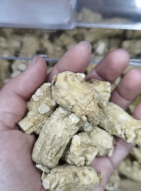 加拿大进口特级西洋参软短粒短枝圆粒10g/15g/20g/25g/30g