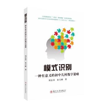 正版 模式识别:一种有意义的初中几何教学策略 刘志昂，童玉峰著 苏州大学出版社 9787567239104 R库