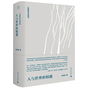 王家新著 相遇 广西师范大学出版 社 Y库 正版 9787559856715 王家新作品系列人与世界