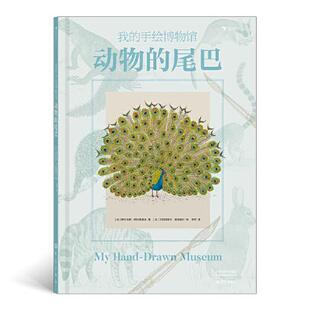 我的手绘博物馆：动物的尾巴（像博物学家一样看世界，探索大自然的神秘莫测，细腻精准复古博物画）浪花朵朵