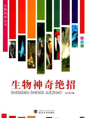 正版 管理信息系统概论:流程、系统与信息:processes, systems, and information