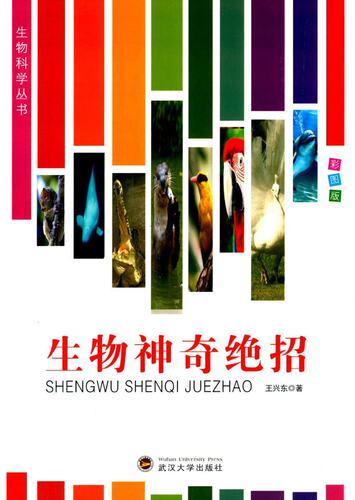 正版 管理信息系统概论:流程、系统与信息:processes, systems, and information