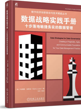 正版 数据战略实战手册：十步落地敏捷务实的数据管理 [美]玛丽露·洛佩兹（Marilu Lopez） 著 机械工业出版社 9787111785545 Y库