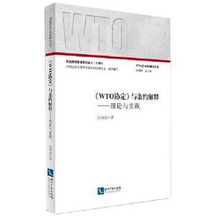 正版 《WTO协定》与条约解释:理论与实践 冯寿波 知识产权出版社 9787513031790 R库