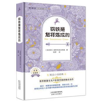 正版钢铁是怎样炼成的:名家全译本(苏)奥斯特洛夫斯基著天津人民出版社 9787201095363 R库