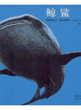 正版 启发精选靠前大师名作绘本?鲸鲨 新宫晋 河北教育出版社 97875478824 Y库