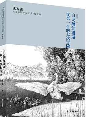 沈石溪臻奇动物小说文集·智慧卷：白天鹅红珊瑚.红弟一生的七次冒险 正版Y库沈石溪 著少年儿童9787558908293
