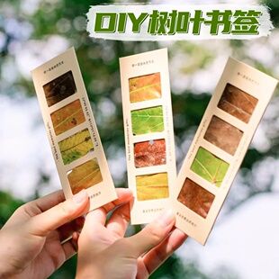 春日创意自制树叶书签手工diy材料小学生收集春天植物标本落叶签