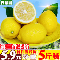 Lemon juice slices of fresh fruit