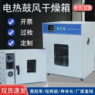 电热恒温鼓风干燥箱高温小型工业烤箱医用烘干机改大灯实验室烘箱