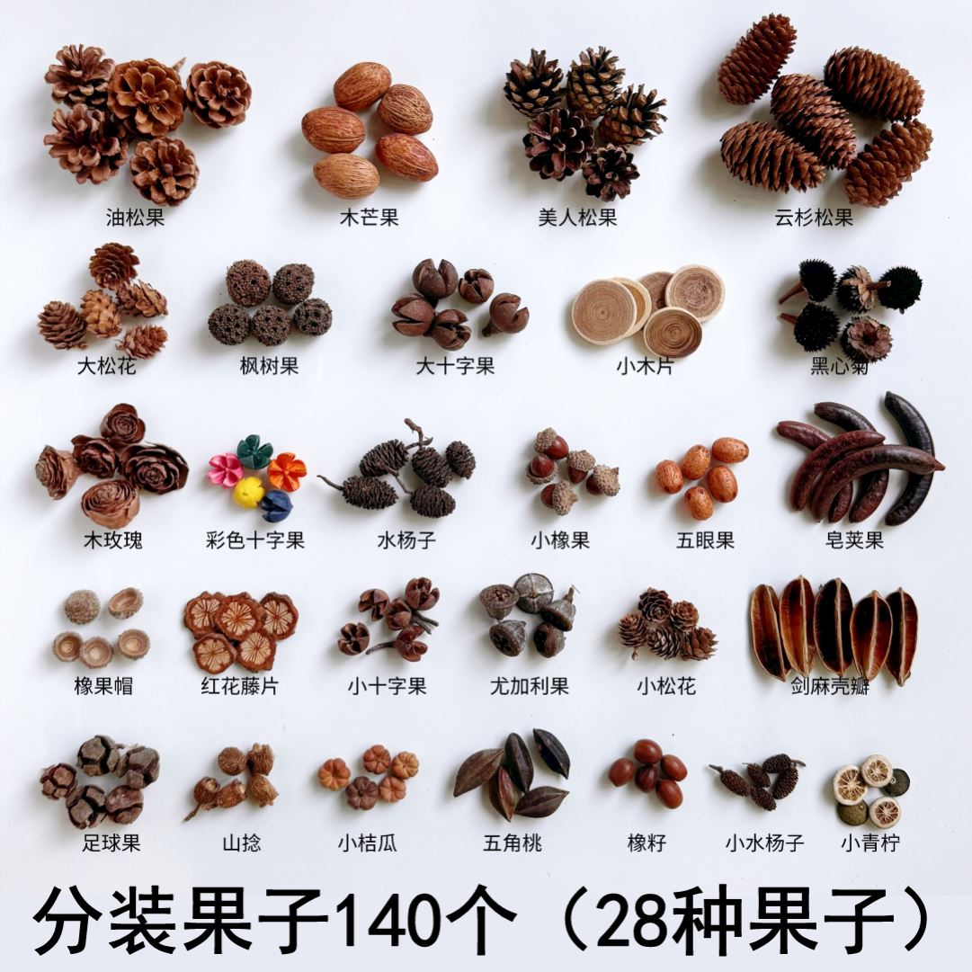 秋天果实橡果松果幼儿园环创材料包拍摄道具手工diy果子50种250