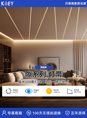 Koey Keyi灯带驱动器电源客厅大气Cob灯带专用宽电压24V防触电防