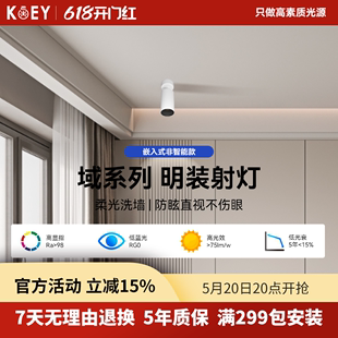 KOEY明装 射灯小山丘吸顶免打孔客厅壁画家用背景墙可调角度可折叠