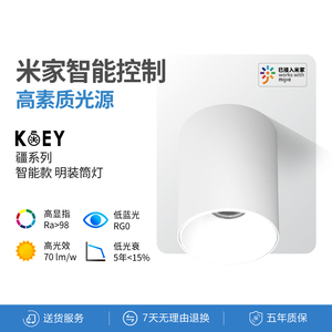 KOEY明装筒灯免打孔智能全光谱防眩家用过道走廊餐厅极简无主灯