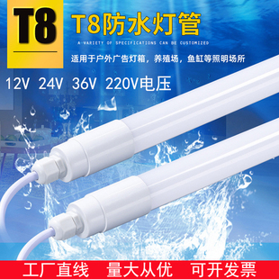 led低压t8防水灯管12V24V36V户外10瓦15W广告灯箱防雨220V条形灯