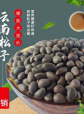 彝星源云南新鲜湿松子清香原味生的不开口薄皮黑松子孕妇零食坚果