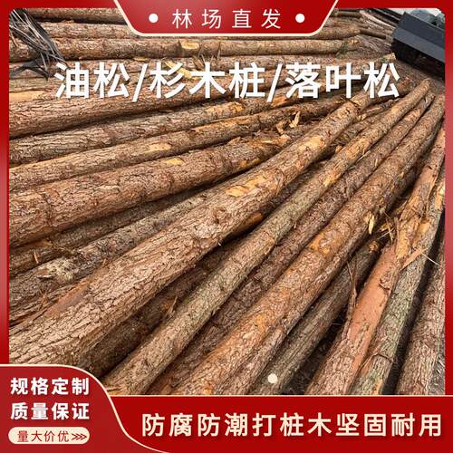 全国出售杉木桩落叶松木桩松木桩4米5米6米7米园林绿化河道打桩木