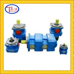 用于磨床 R6.3内啮合双联齿轮泵 发泡机等 GPA2