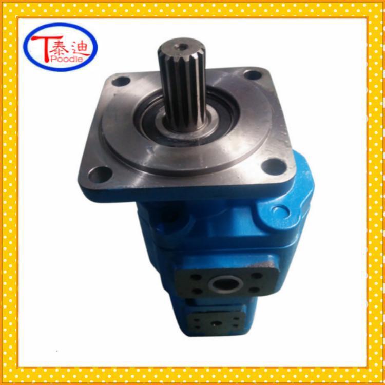 CBGj2100/1016双联齿轮泵 CBGj2100/1010液压泵