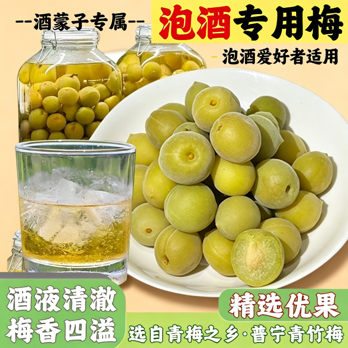 青梅泡酒专用现摘新鲜果腌制半成品精选休闲果干冰糖泡制蜜饯解馋爽口家庭果酒网红款酸甜解腻无需处理梅子酒果脯简单方便小零食