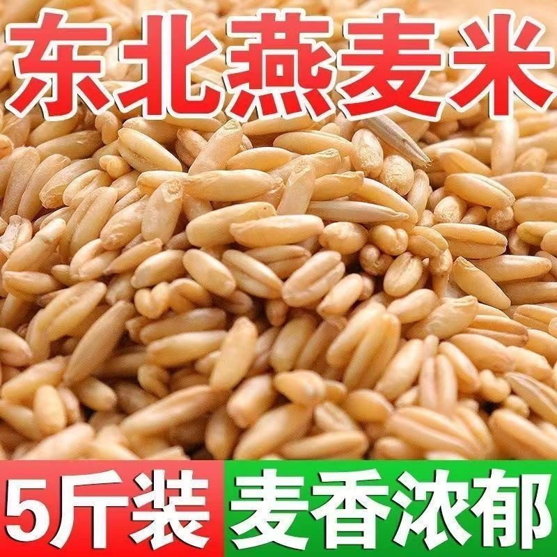 【特惠】5斤东北新燕麦米新米袋装燕麦粥燕麦米饭五谷杂粮粗粮1斤