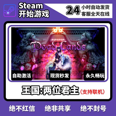 王国两位君主steam激活码入库cdk