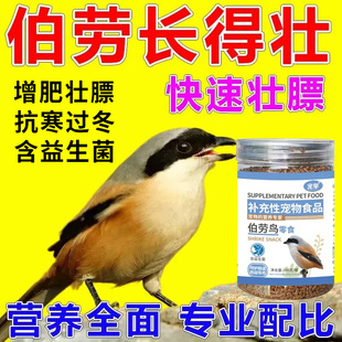 伯劳鸟食饲料增肥壮膘专用粮提性增肥增色囤脂抗寒补钙靓羽营养粮