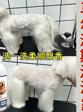 马尔济斯犬专用沐浴露高级去黄增白白狗专用沐浴露美容蓬松狗洗澡