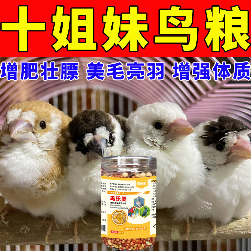 十姐妹鸟保姆鸟专用混合鸟粮带壳谷子营养全面美毛亮羽增肥壮膘料,宠物/宠物食品及用品,鸟食,淘宝优惠券,粉丝福利购,淘宝优惠卷