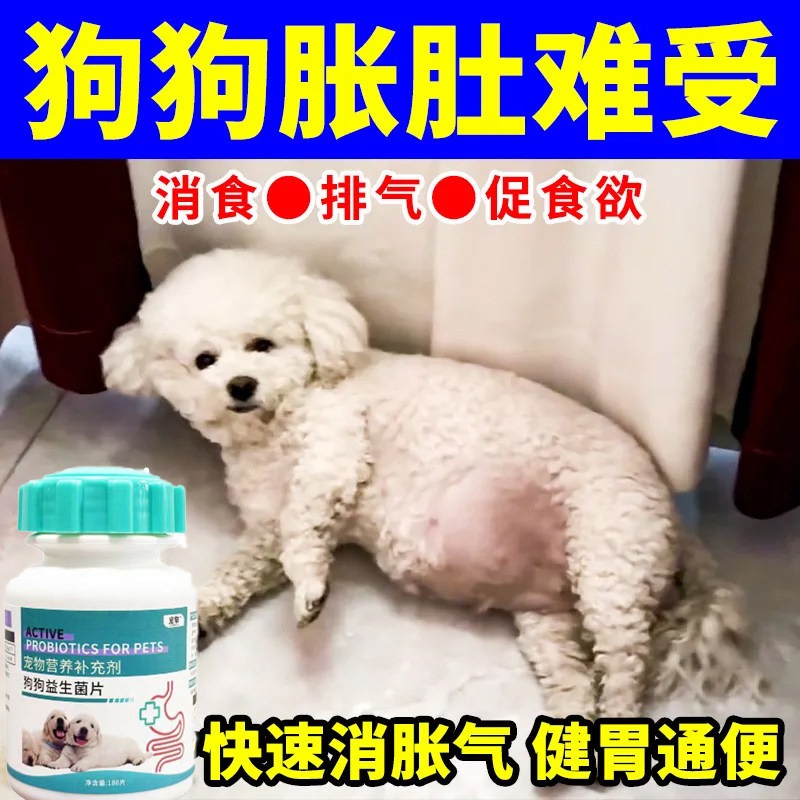 狗狗腹胀缓解的益生菌狗肚子胀气促进狗狗肠胃蠕动增肥增强食欲用